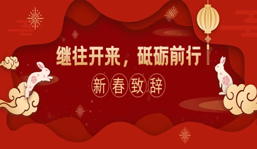 双环