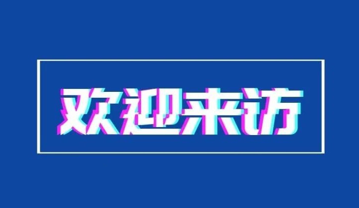 双环