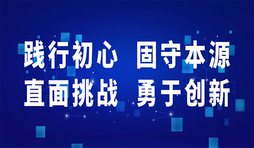 双环